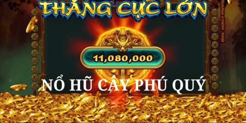 Giới thiệu cơ bản cây phú quý nổ hũ săn thưởng