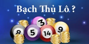 Bạch thủ lô vipwin