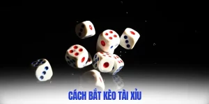 Cách bắt kèo tài xỉu vipwin