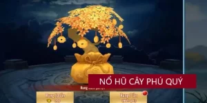 Cây phú quý nổ hũ vipwin