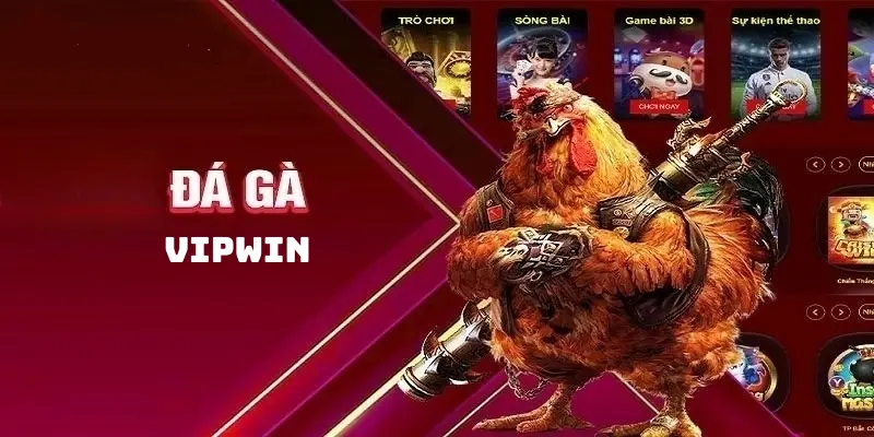 Đá gà Vipwin