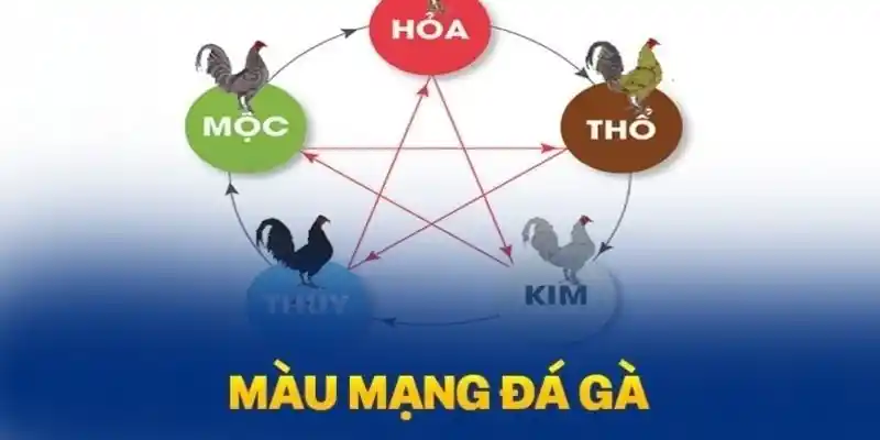 Màu mạng gà đá Vipwin