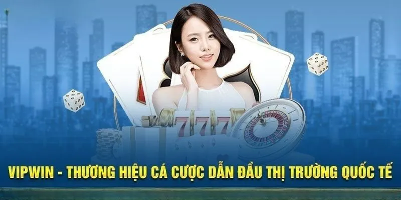 Thông tin chi tiết về hệ thống Vipwin