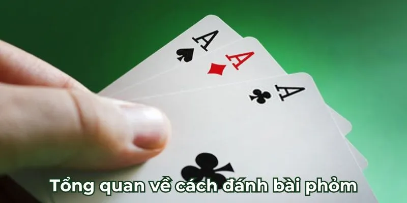 Tổng quan về cách đánh bài phỏm