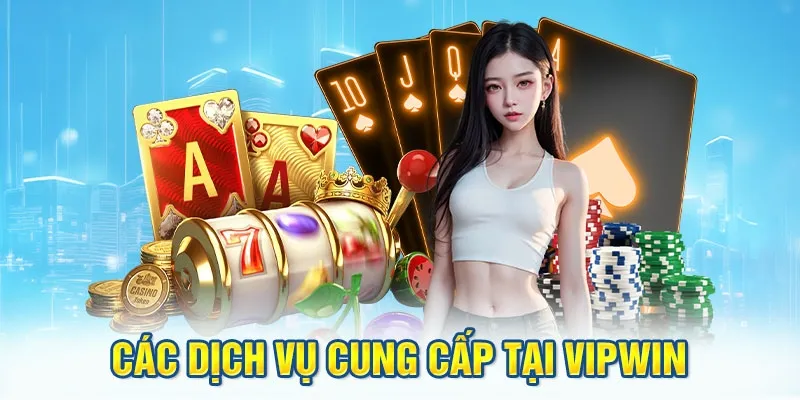 Cung cấp rất nhiều dịch vụ